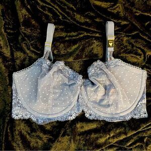 Victoria’s Secret 34DDD Bra NWT Dream Angels VS Push up without padding Blue